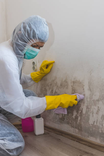 Luther, OK Mold Removal Company