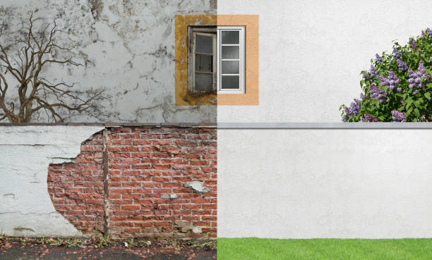 Best Environmental Consulting for Mold Prevention  in Luther, OK