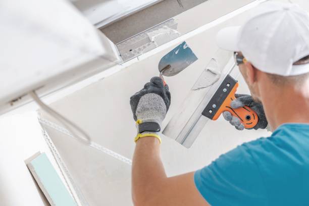 Best Mold Removal for HVAC Installations  in Luther, OK